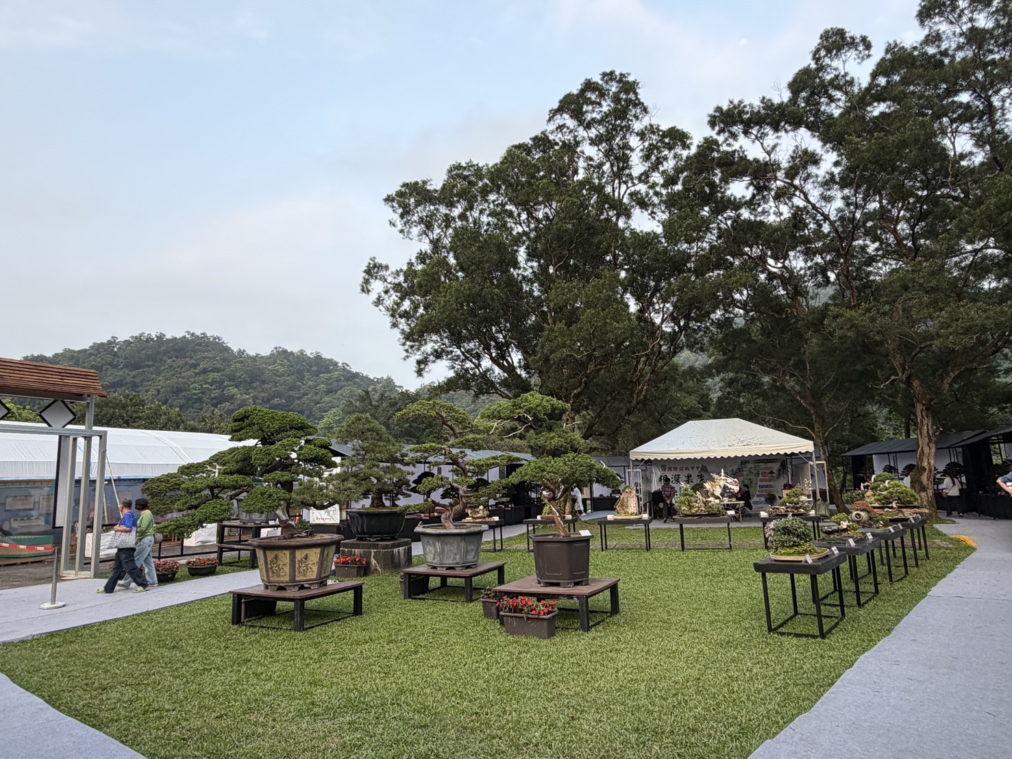 ศาลาบอนไซ 剪影 1