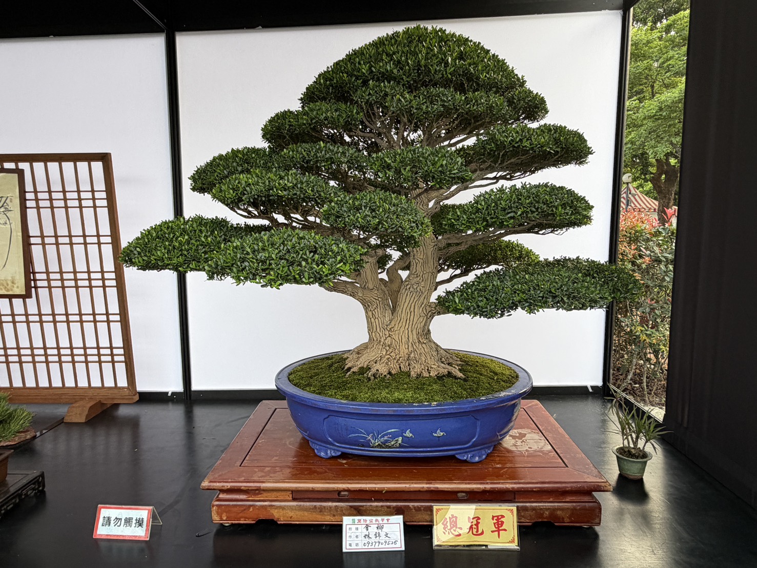 ศาลาบอนไซ 剪影 3