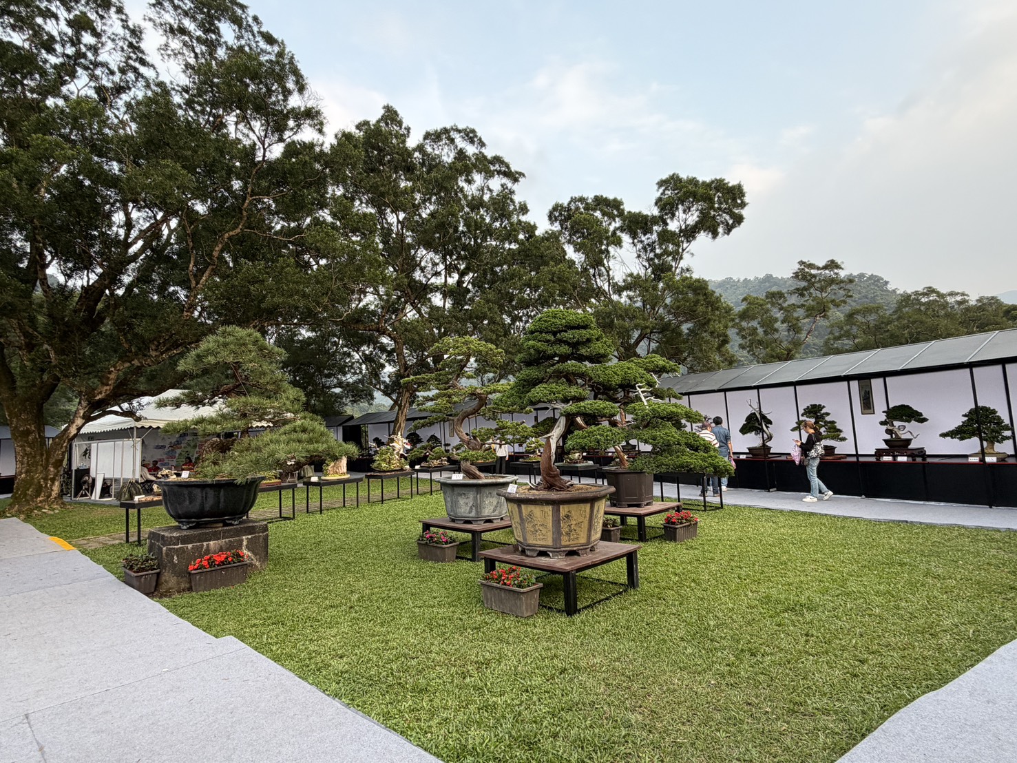 ศาลาบอนไซ 剪影 4