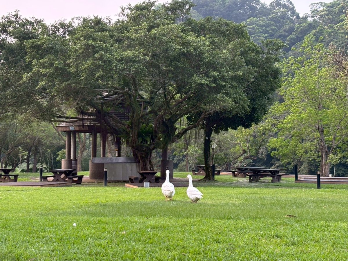 鴨鄉館 剪影 5