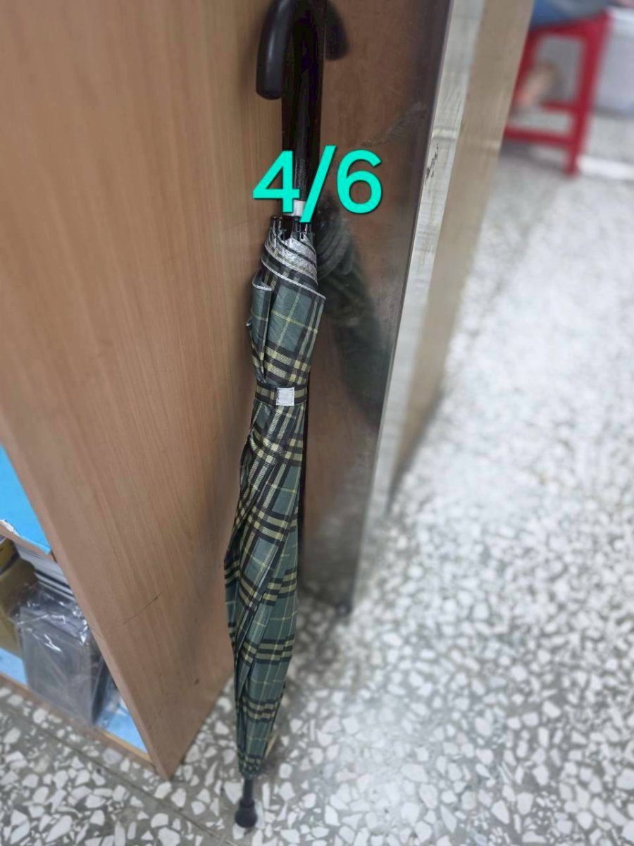 綠格紋雨傘